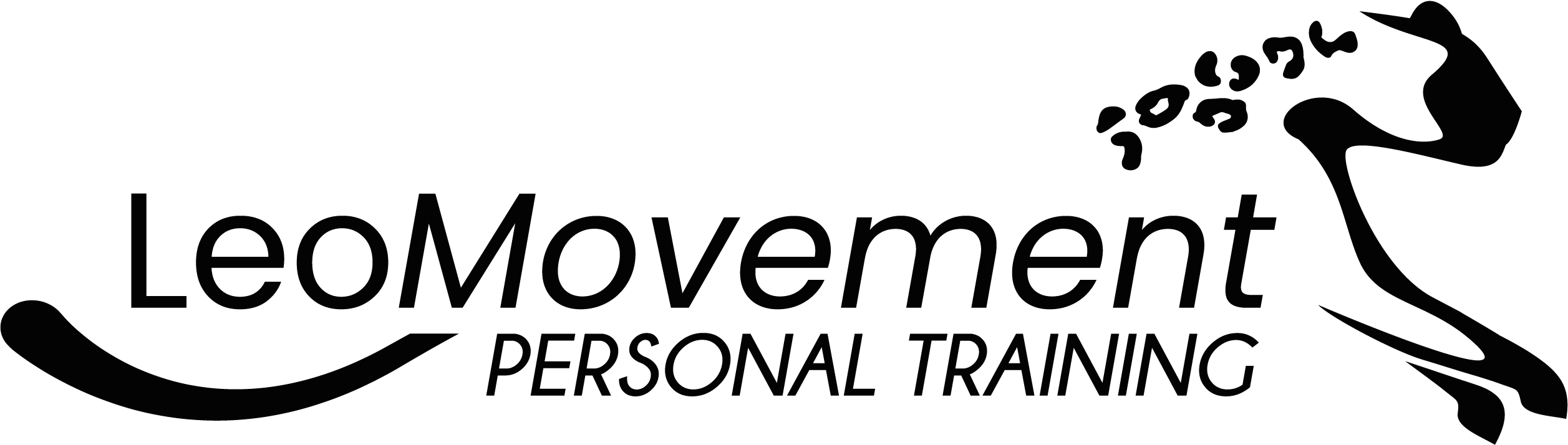  LeoMovement GmbH Logo
